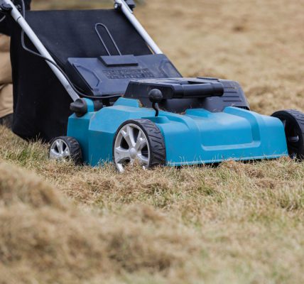 aerator lub wertykulator
